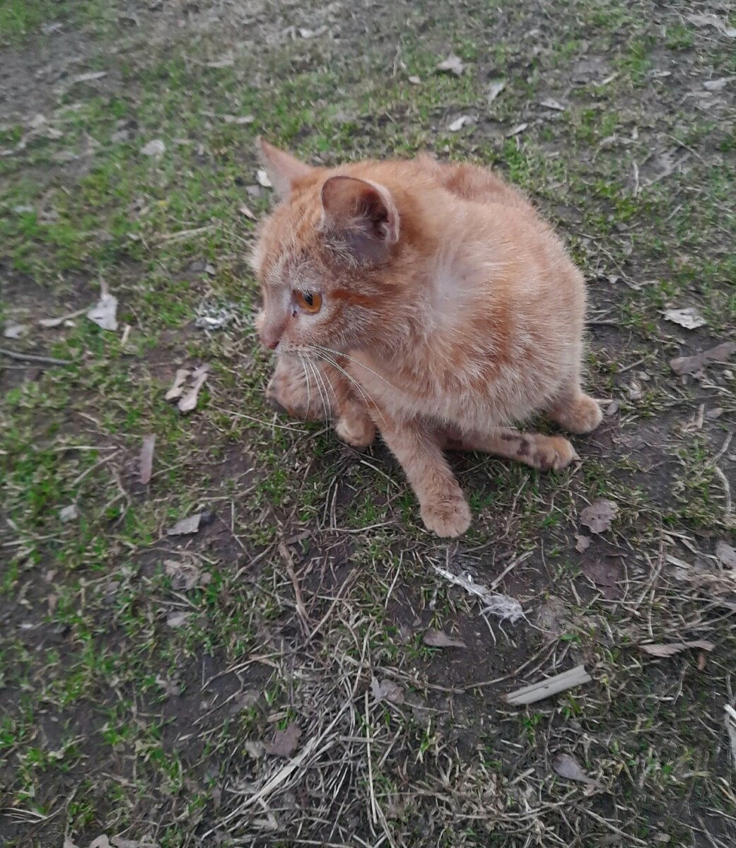 Фото автора. Варя ползала на улице одна и травмированная.