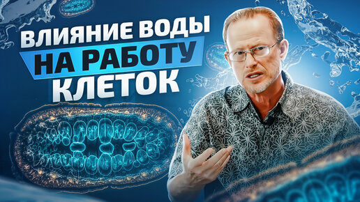 Descargar video: Как вода влияет на работу клеток? Научное объяснение