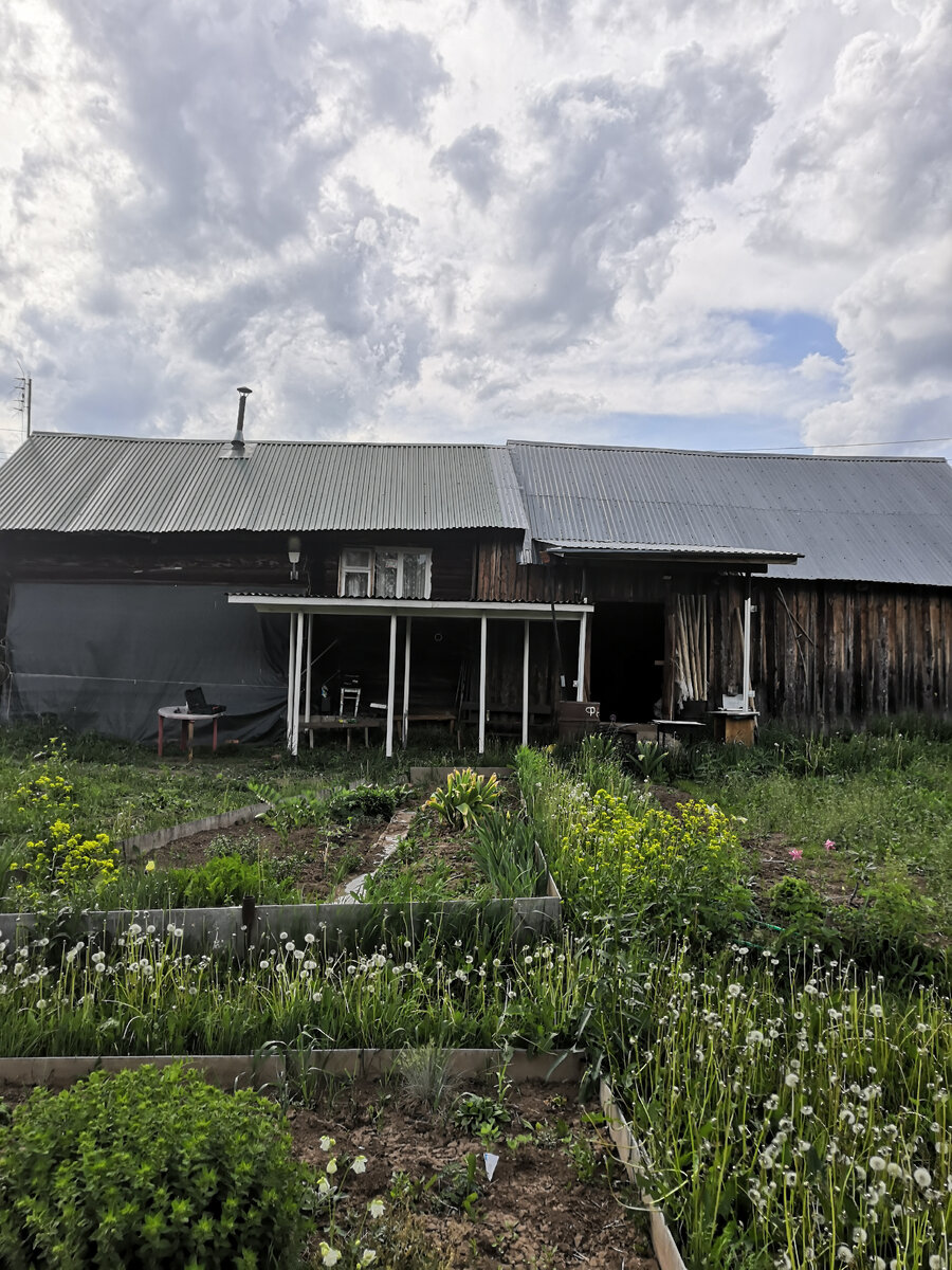 Пока идёт стройка, вообще не до одуванчиков) 