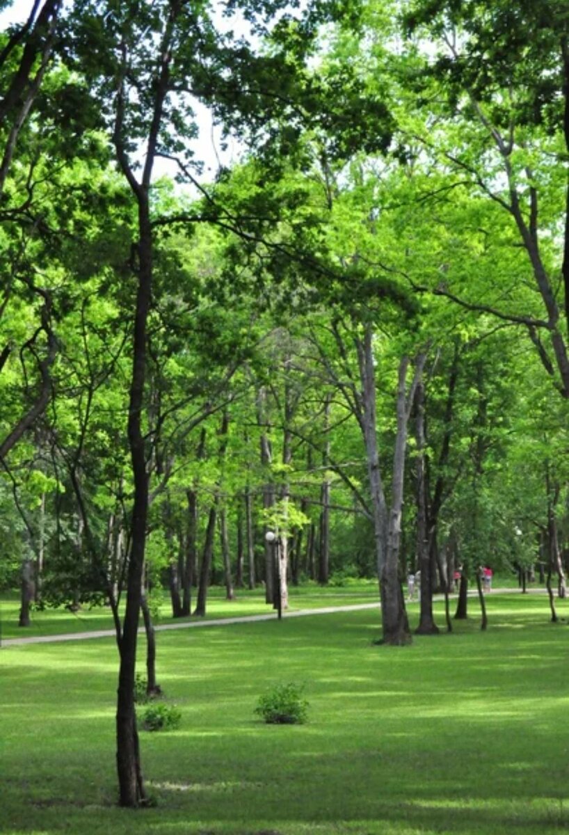 парк Маршалково