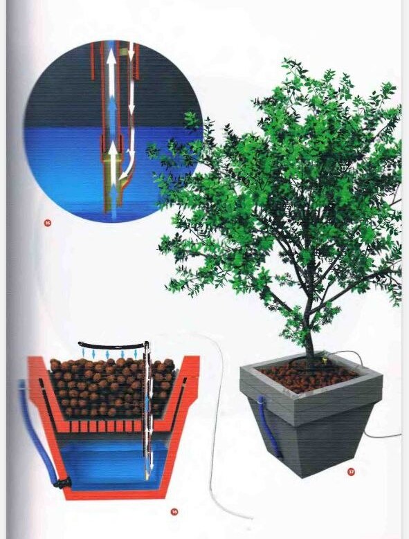 Страница из книги Уильяма Тексье - "Гидропоника для всех"