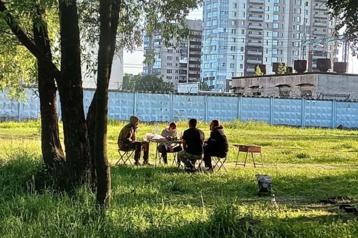    В Петербурге ввели запрет на въезд в городские леса из-за риска пожаров