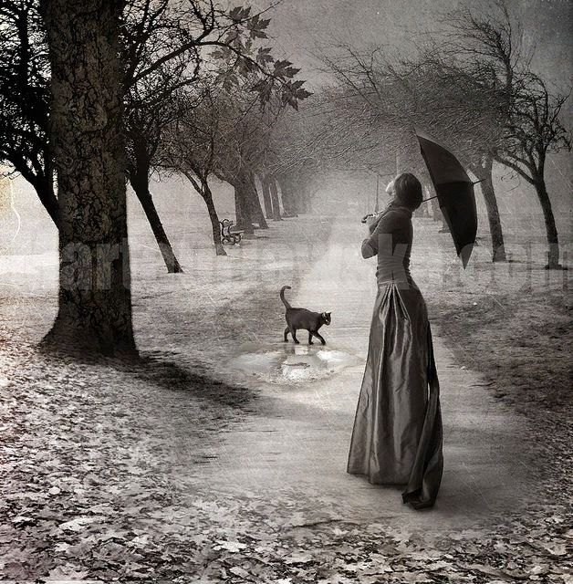 �������� - ������ ��������