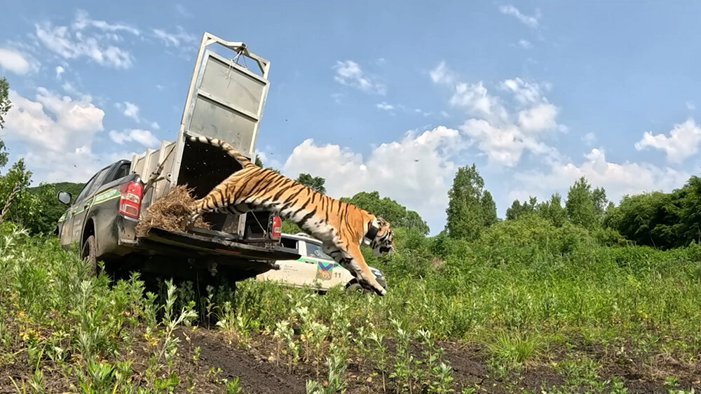    © АО "ТВ Центр"