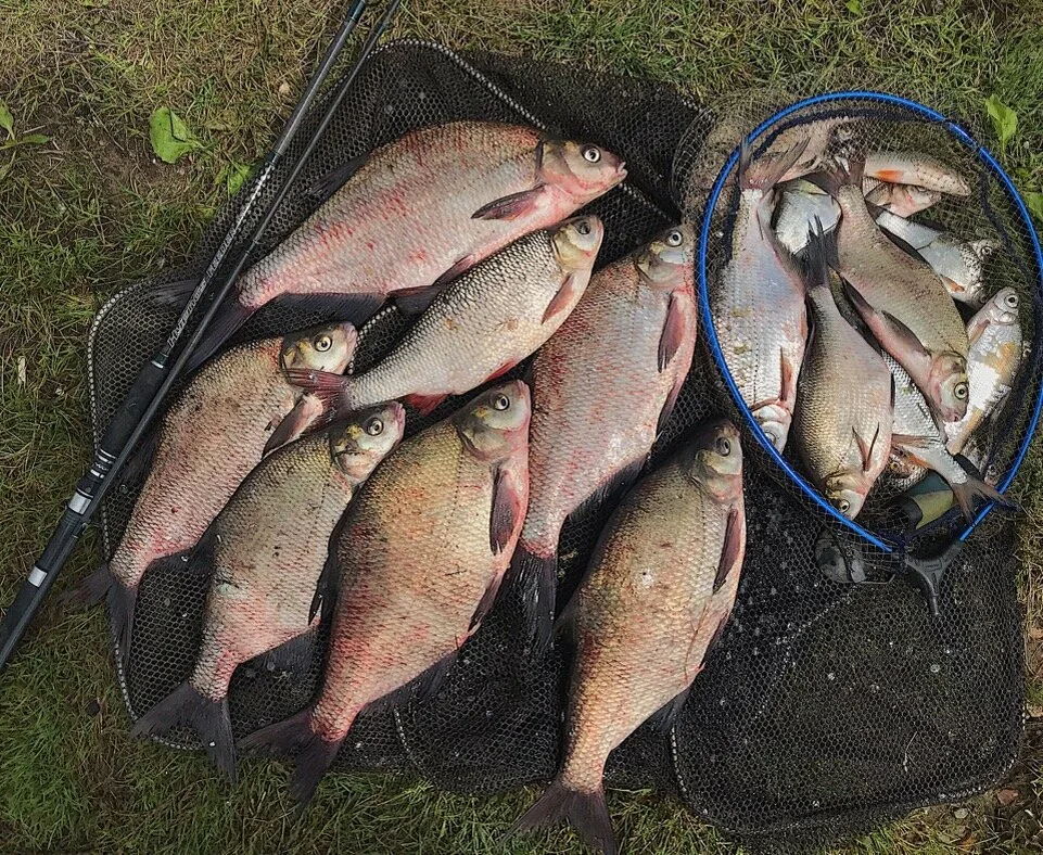 Фото: Яндекс.Картинки 