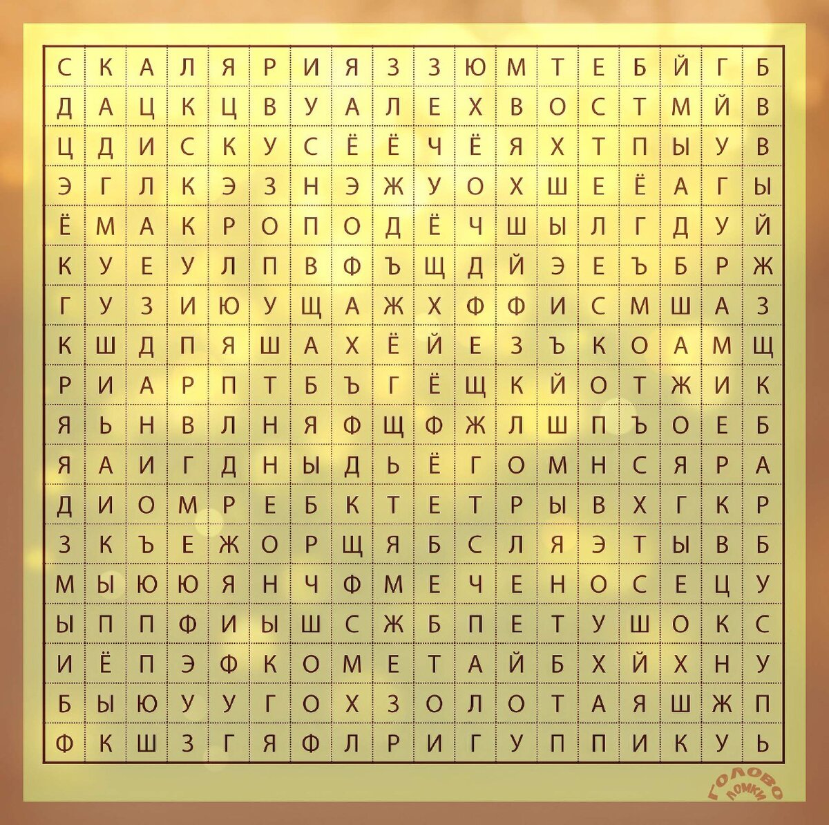 Тест филворд. Найди названия аквариумных рыбок.