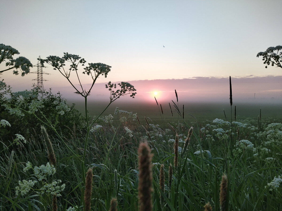 Вот такой рассвет 