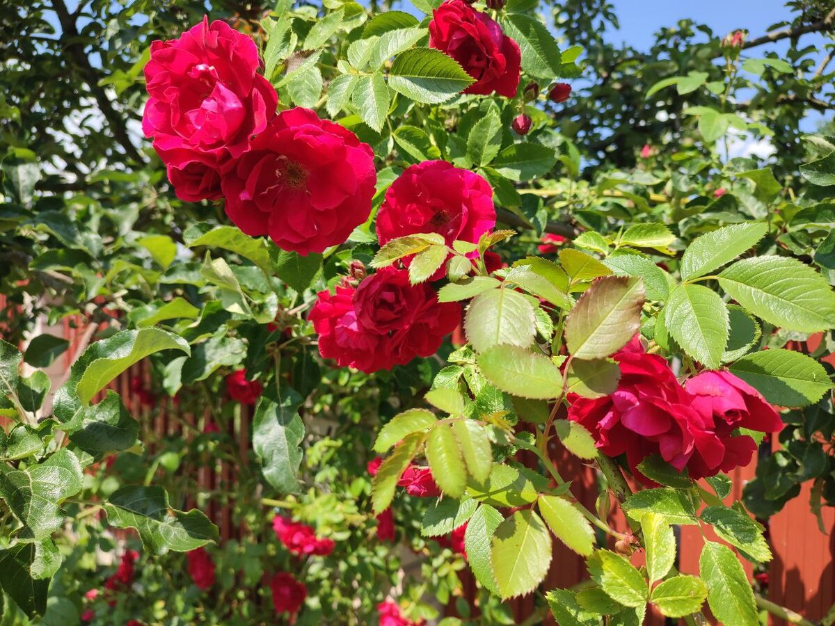 фото автора канала