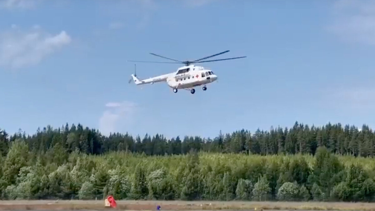 DF Helicopters df334