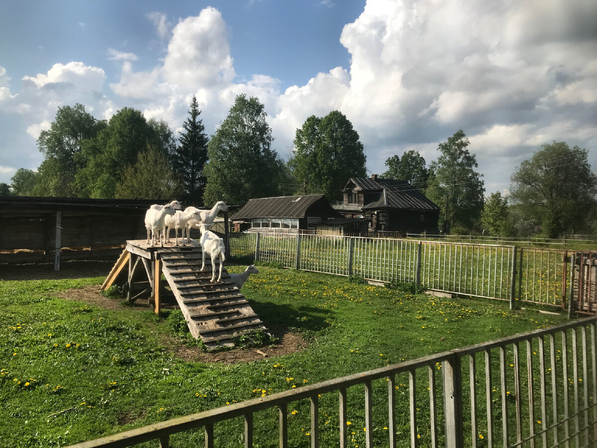 На прогулке 