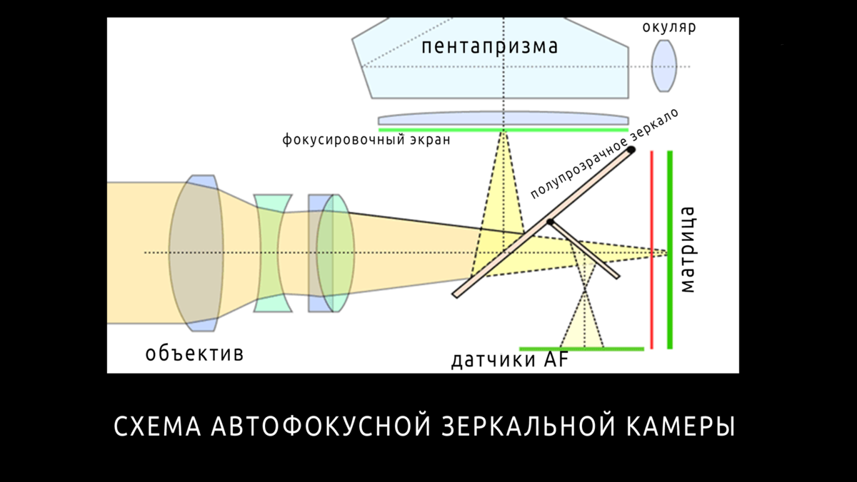 ЧТО ТАКОЕ РЕЗКОСТЬ. АВТОФОКУС, 2 МЕТОДА РАБОТЫ И ПРИЧИНЫ ПРОМАХОВ | Иди и  снимай | Дзен