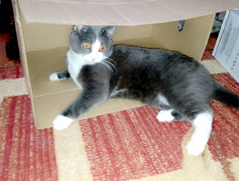 Уже приготовилась.