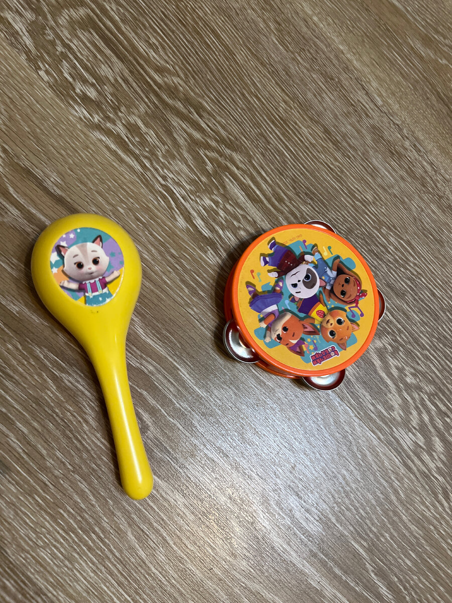 Я для игр с сыном использую вот такие маракас и бубен 