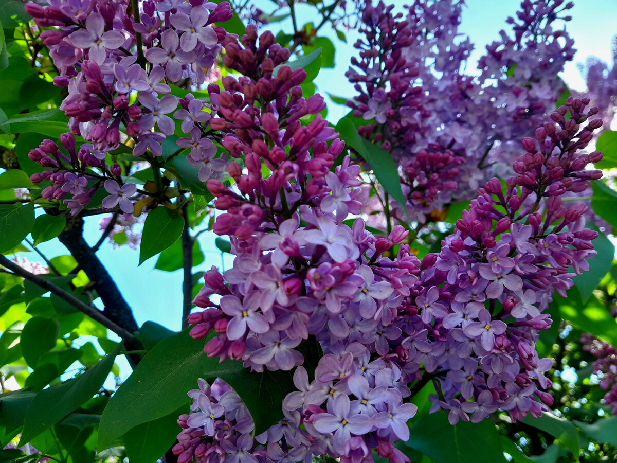 Фотография автора.