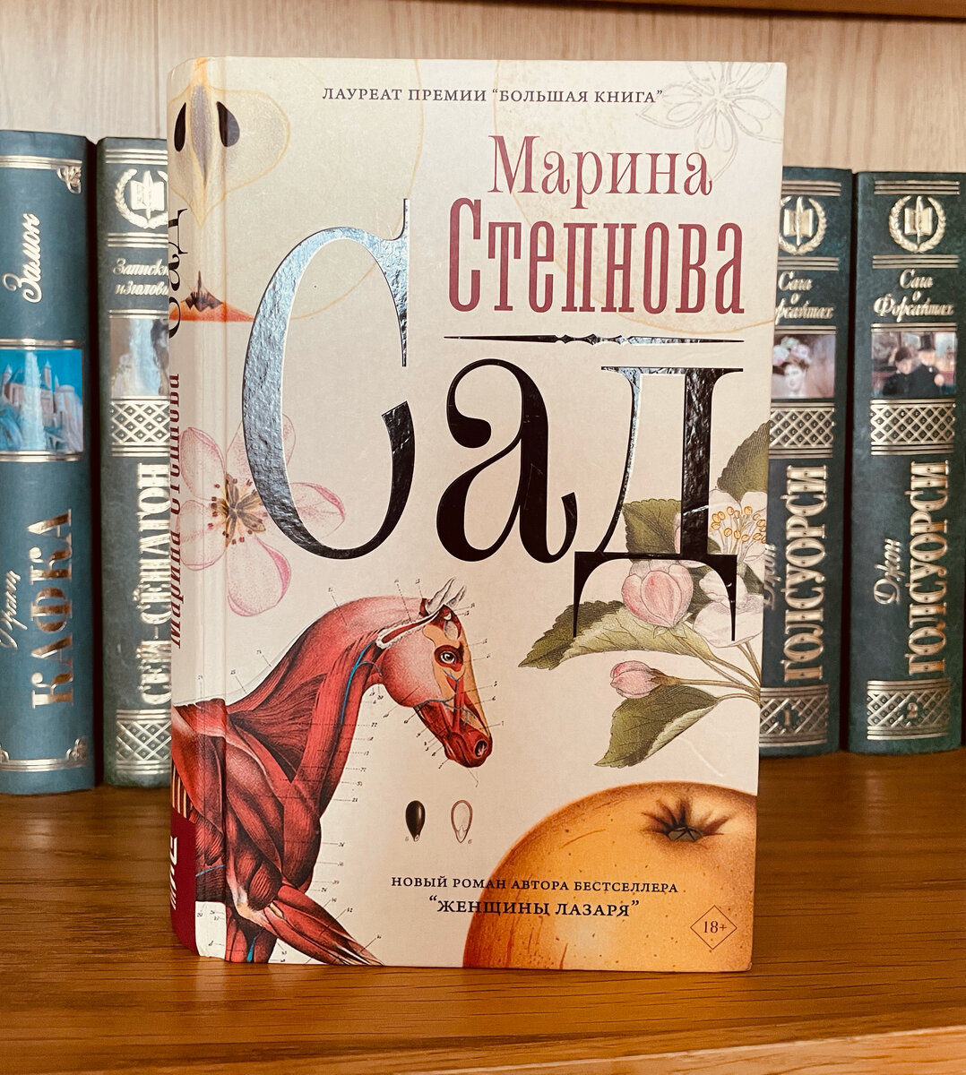 Степнова книги список