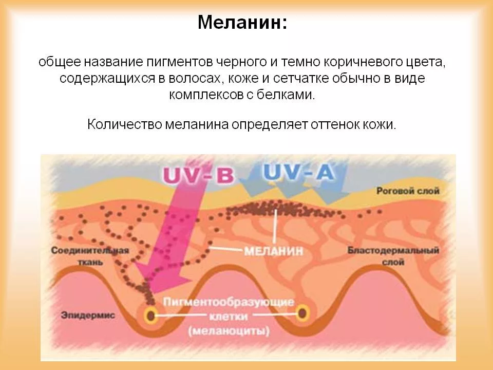 Виды цветотипов внешности