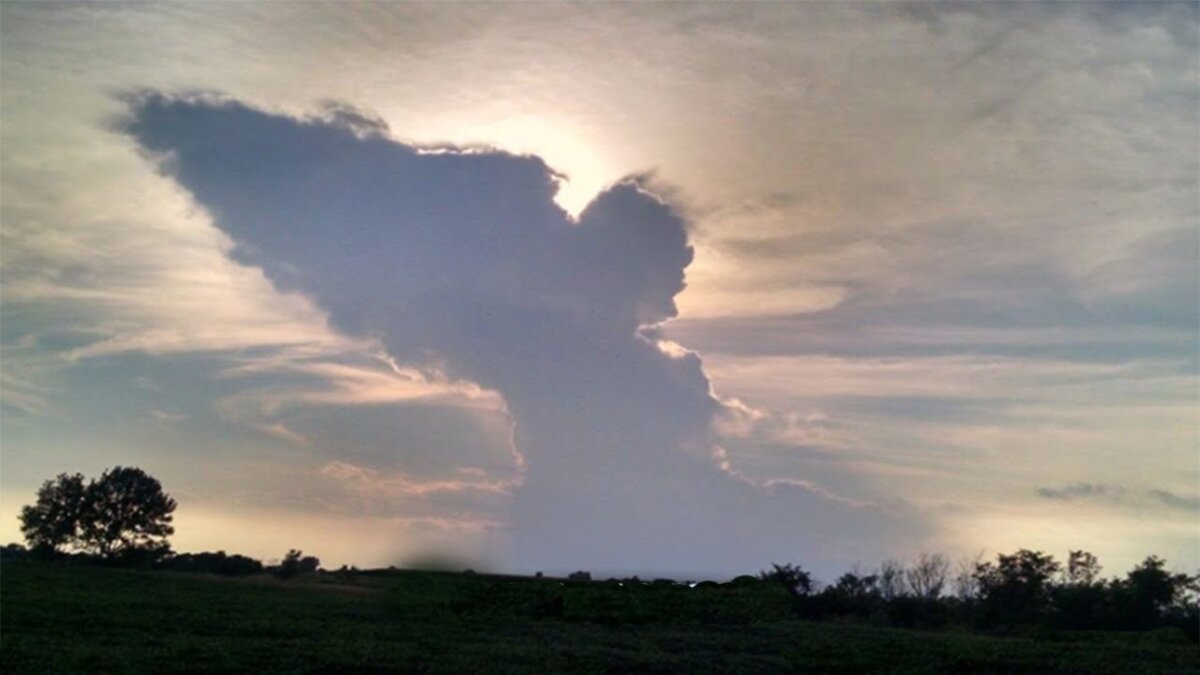 Фото взят из открытых источников letsgophotos.ru