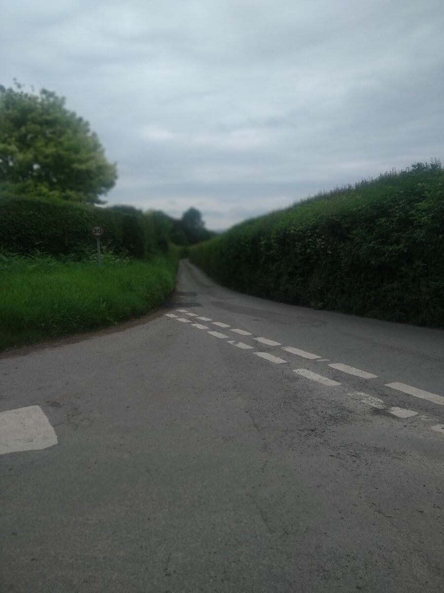 Вот такие вот двухсторонние дороги на фермах в Англии, поражает что там не было ни одного ДТП (Размах от куста до куста - один автобус, которые тут тоже гоняют)