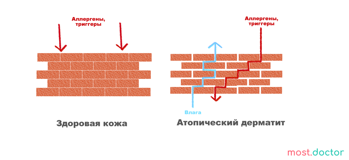 Алоэ вера в косметологии - применение, польза и инструкции