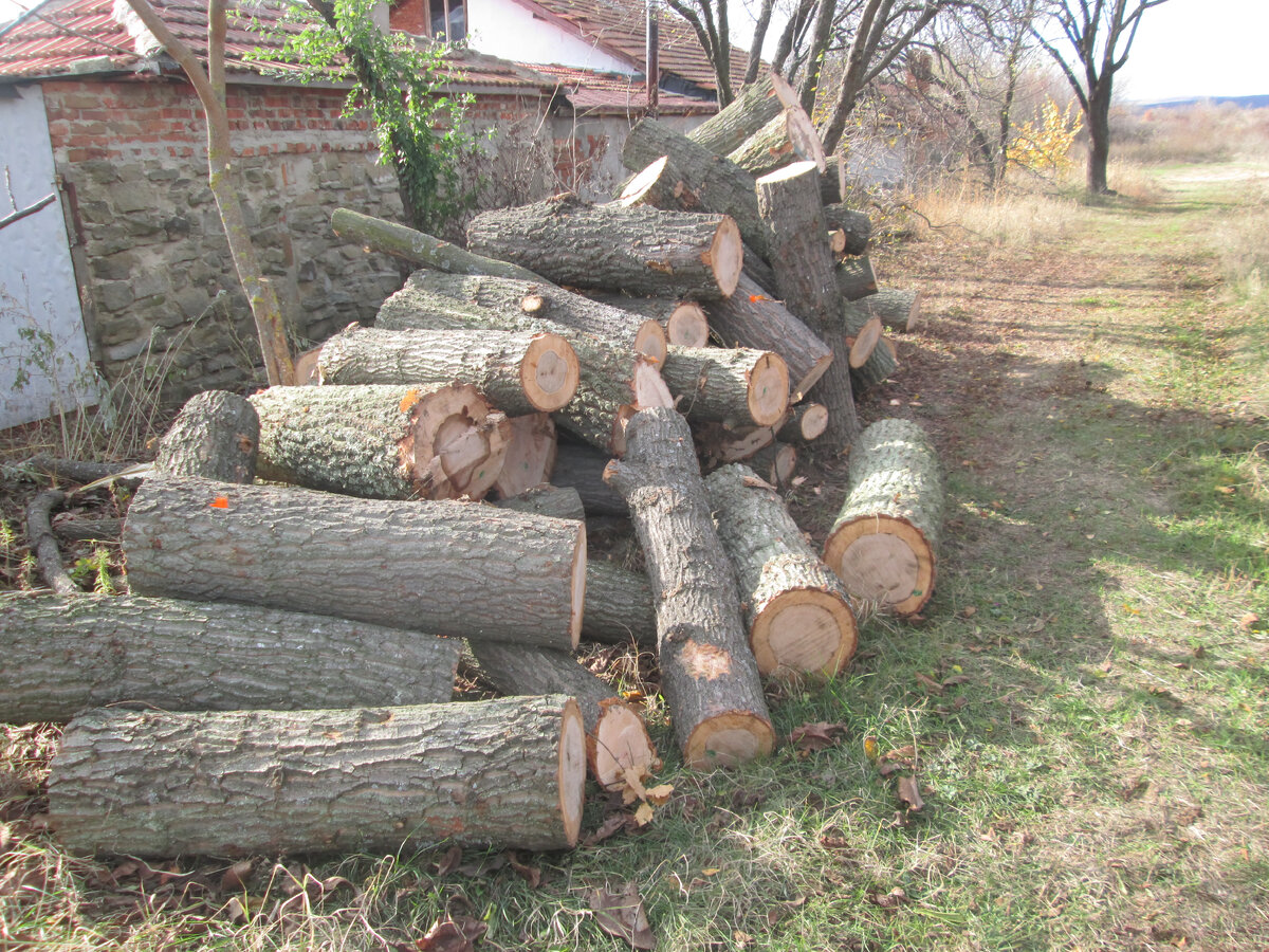 фото из архива