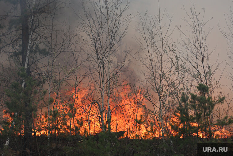    Премия за сообщение о поджигателях составит 20 тысяч рублей