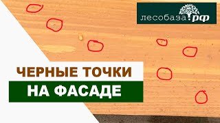 Черные точки на фасаде дома - как бороться? / Лесобаза.РФ