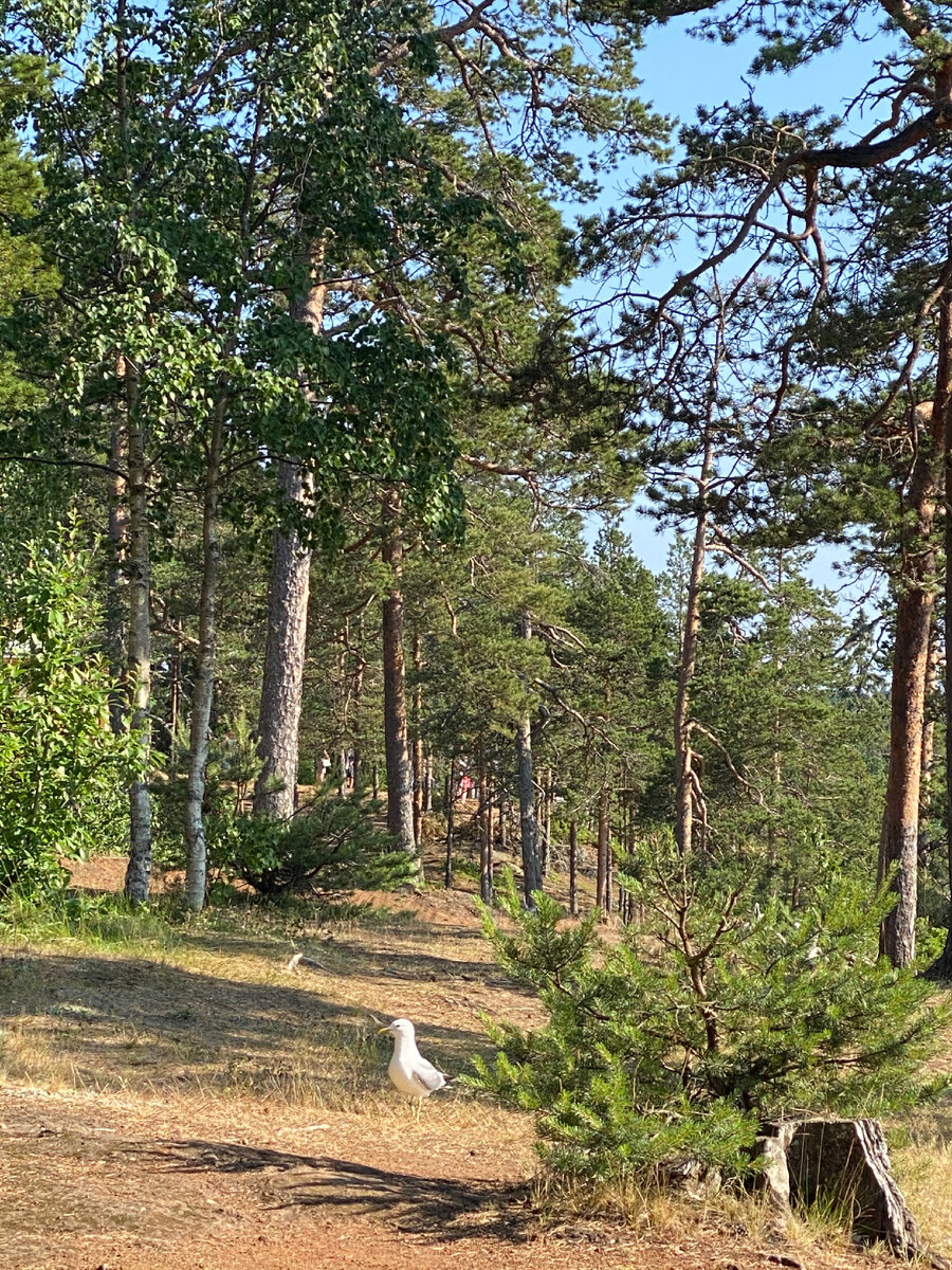 Фотография автора