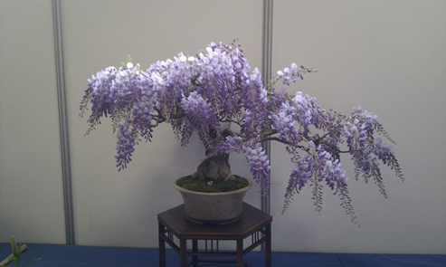 Источник: https://www.liveinternet.ru/users/3241851/post209574213/