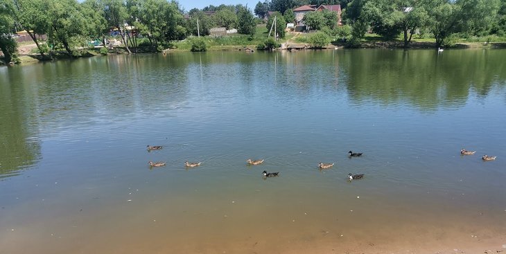    Погода на июль 2023 компенсирует теплом и солнцем холодный июнь