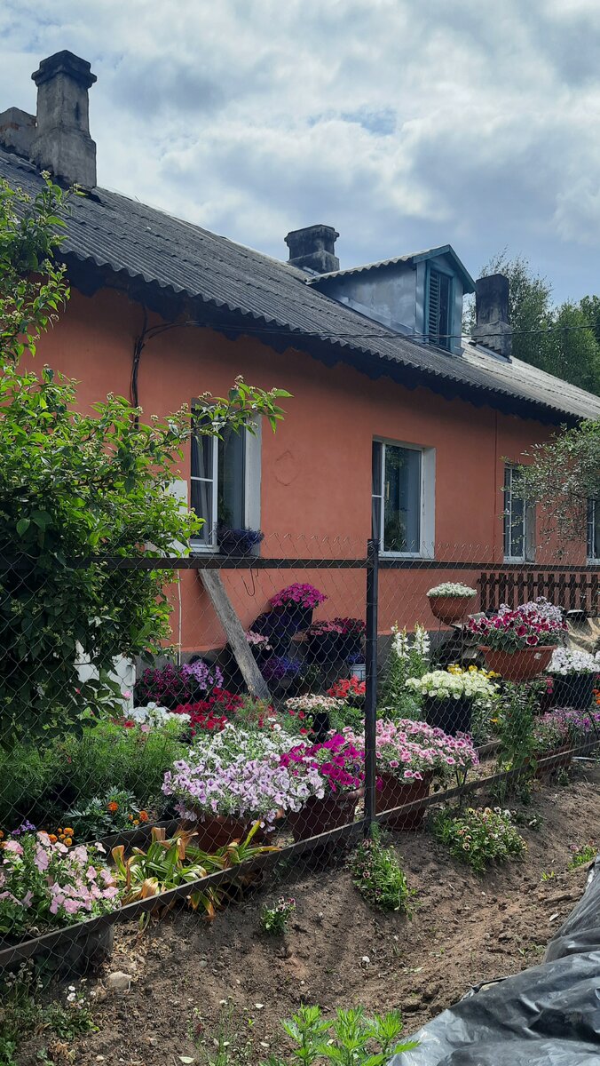 Возле одного из домов в Великих Луках.