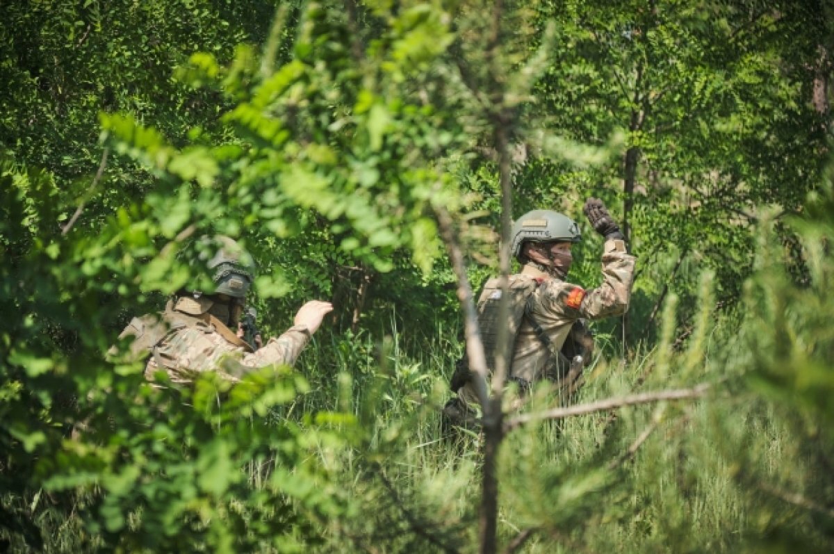    Под Белогоровкой в ЛНР продолжаются интенсивные позиционные бои