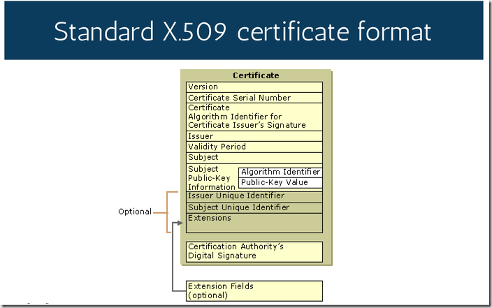 X509 certificate signed by unknown authority
