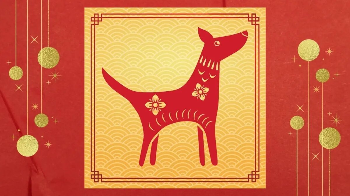 Самый четный и прямолинейный знак китайского зодиака: Год Собаки - черты  характера, годы и лучшая с худшей совместимостью | Курьер.Среда | Дзен