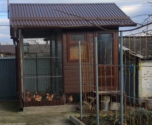 Курятник с выгулом