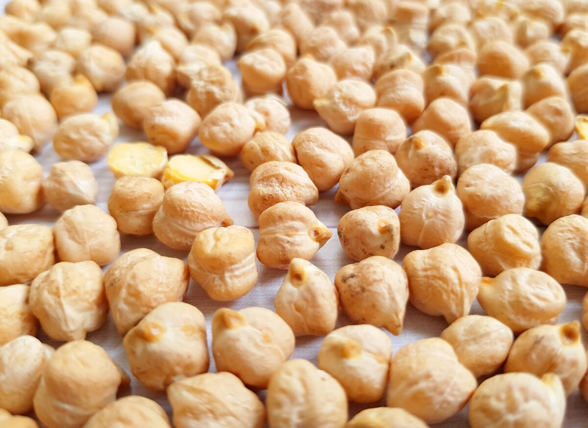 Нут ещё называют «Турецкий горох», «Бараний горох», «Воложский горох» и «Нохут»