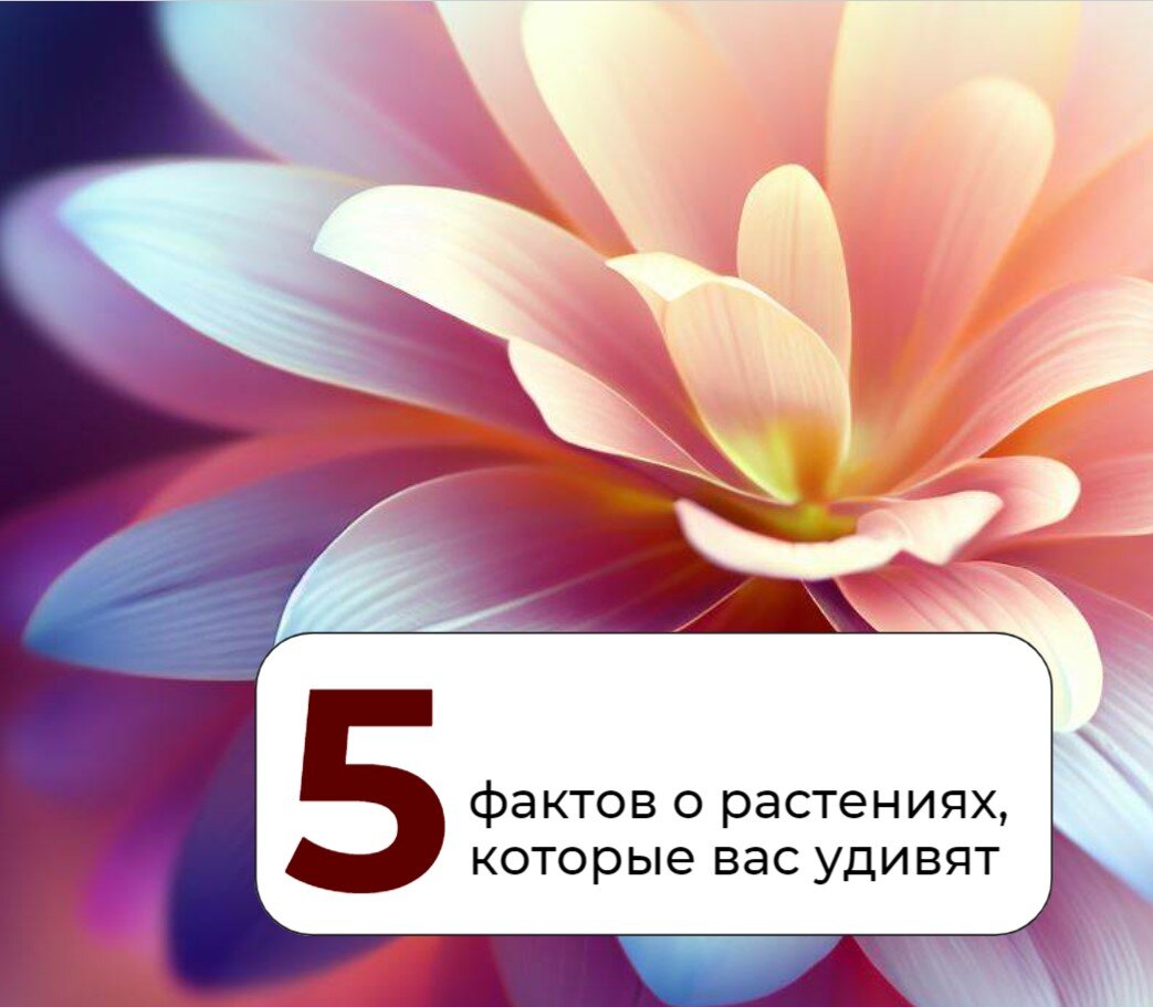 Зеленое царство: 5 фактов из мира растений, которые вас удивят
