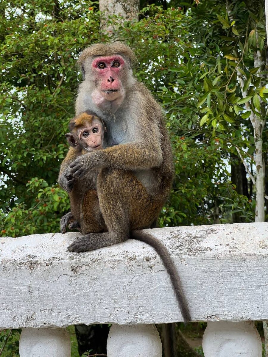 Здрасьте! Вы откуда? О, Россия....