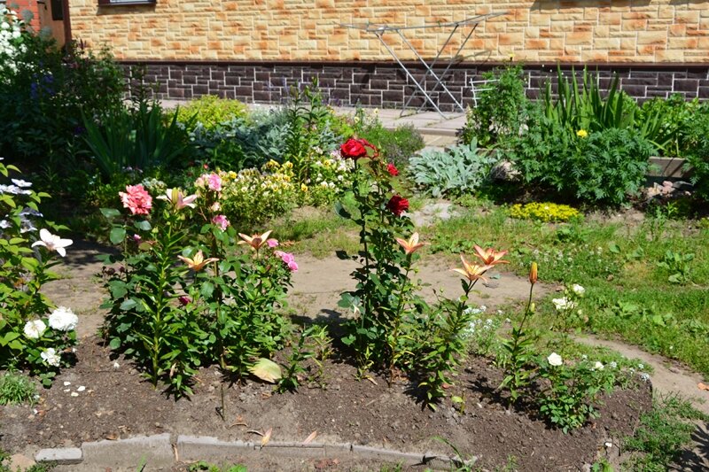 Отдыхая на скамейке любуемся цветами