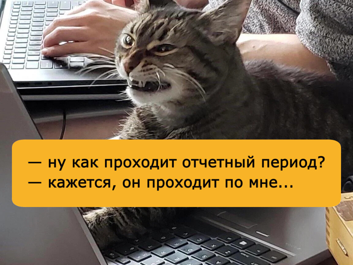 Кто главнее главбуха? Экономист и финансист — это разные люди? | Академия  Эдюсон | Дзен