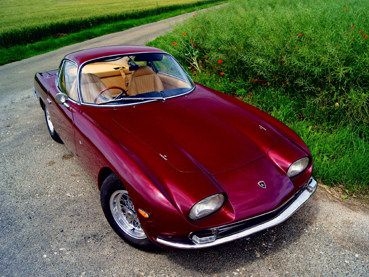 В конце 1962 года началась работа над первым автомобилем Lamborghini-моделью 350 GT. Эта модель была оснащена V-образным 12-цилиндровым двигателем объемом 3464 см и мощностью 280 л.с. при 6500 об\мин.