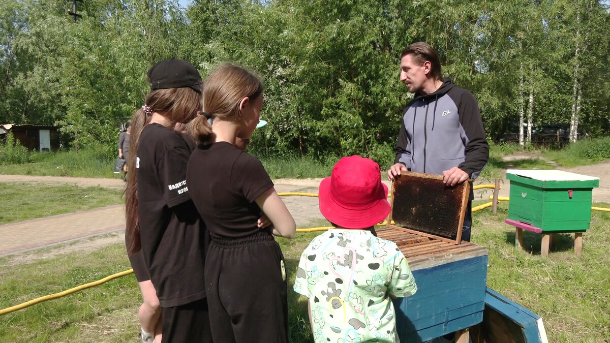    В Сургутском районе устроили пасеку во дворе многоквартирника