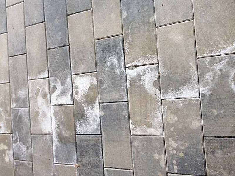 высолы на красной тротуарной плитки. средство от высолов на тротуарной плитке. средства для удаления высолов на плитке. убрать соль с плитки. удалитель высолов с брусчатки.