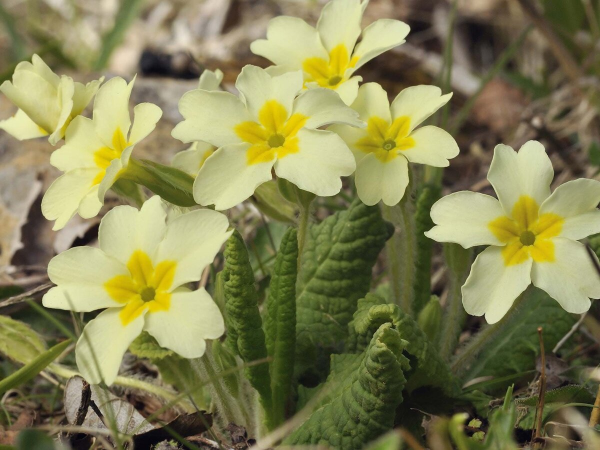 Фото: jooinn.com