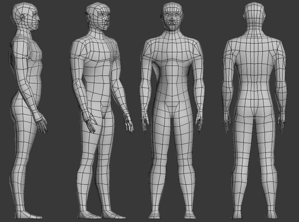 Тело поли. Топология тела человека. Топология лоуполи тела. Правильная топология 3d модели. Топология тела персонажа.