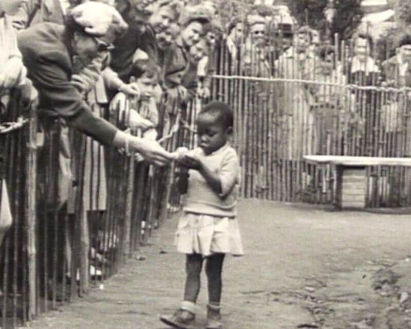 Человеческий зоопарк в бельгии 1958