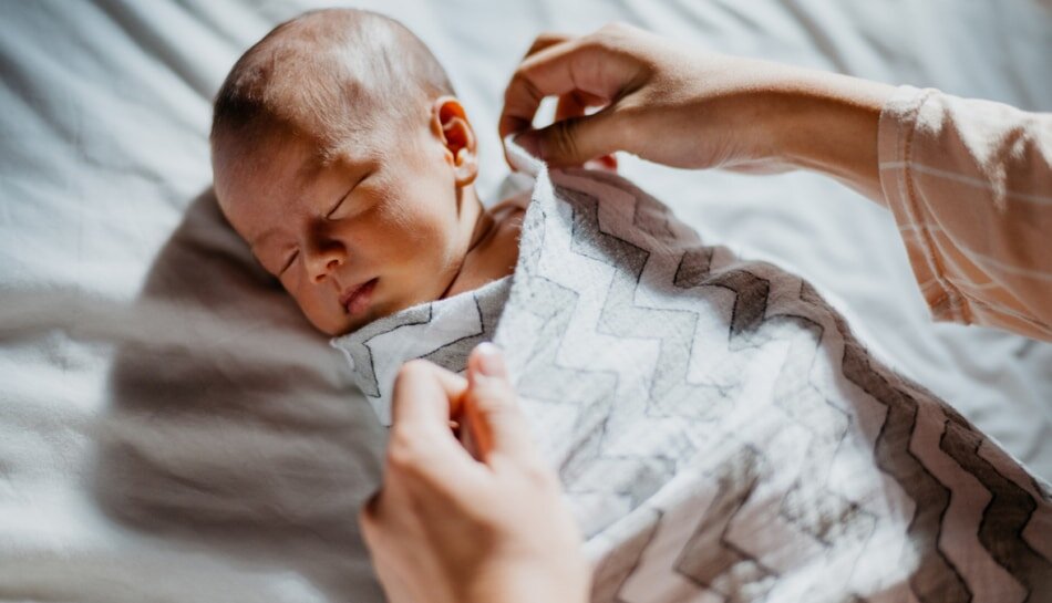 Открытое изображение VioletaStoimenova / iStock