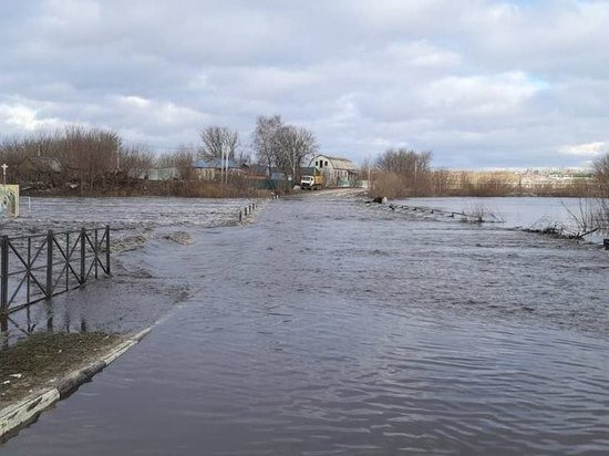     фото: t.me/baltabaevSG