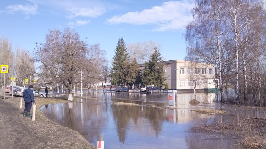    Автор фото: Евгения Ильченко