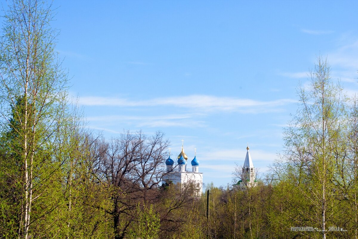 Флорищева пустынь в Нижегородской. Фролищи Нижегородская область. Мужской монастырь в поселке Фролищи.