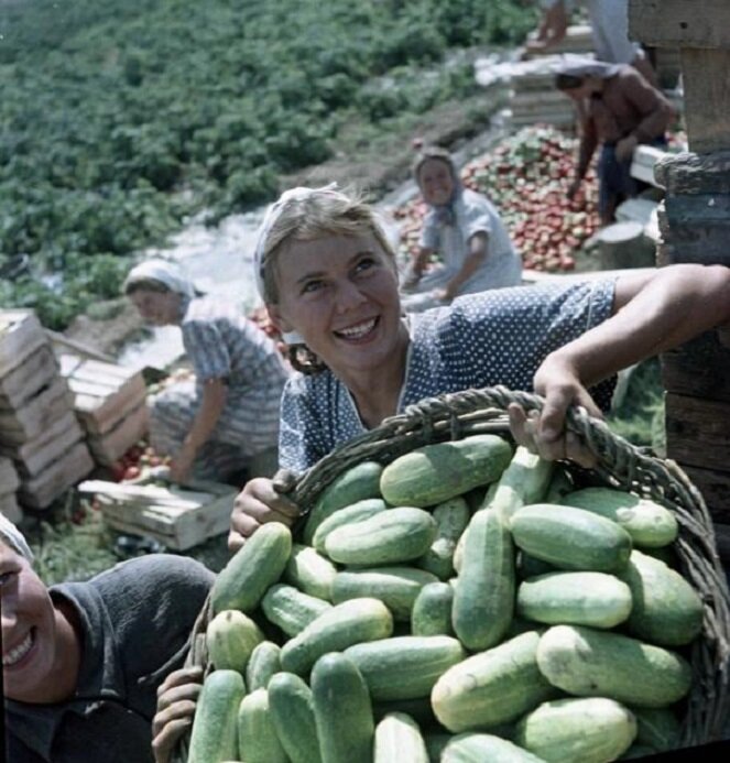 Как выглядели советские женщины и какой была их жизнь. Фотоподборка 1950-х - 1980-х годов